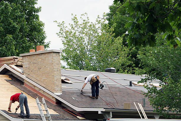 Best Roof Maintenance Services  in Black Jack, MO